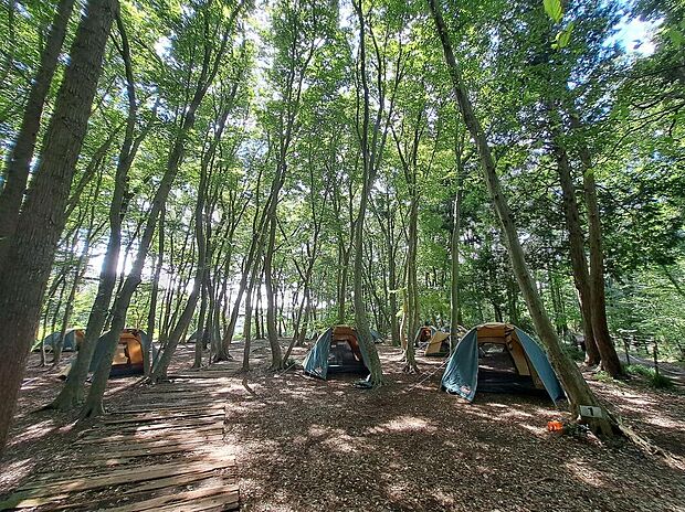 いちかわ市民キャンプ場（約2,200m）