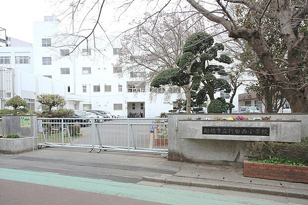 船橋市立行田西小学校（約550m）