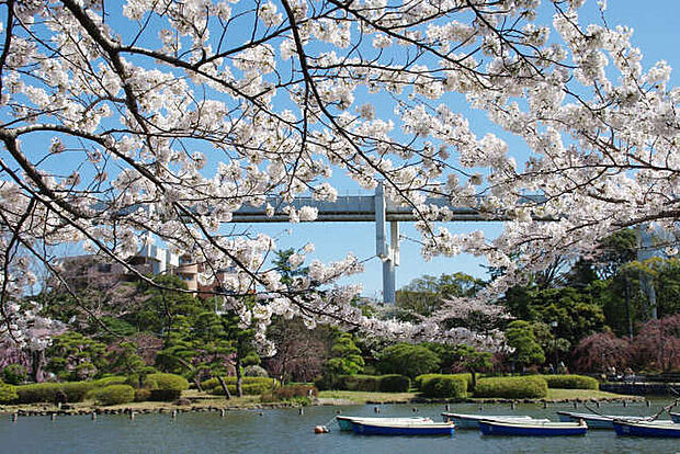 千葉公園(約1,100m)