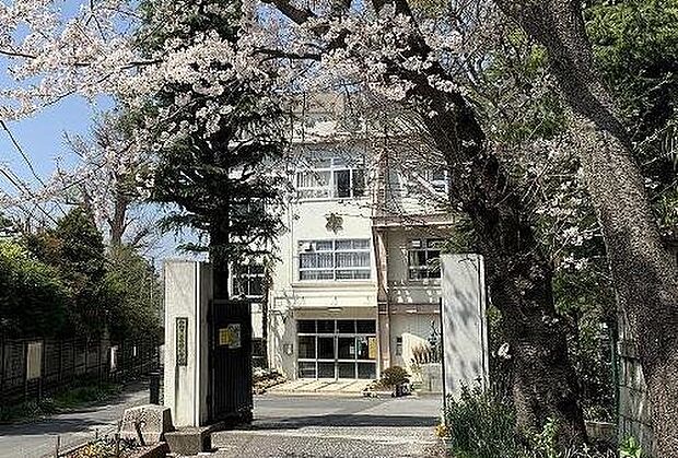 船橋市立葛飾小学校（約1,300m）