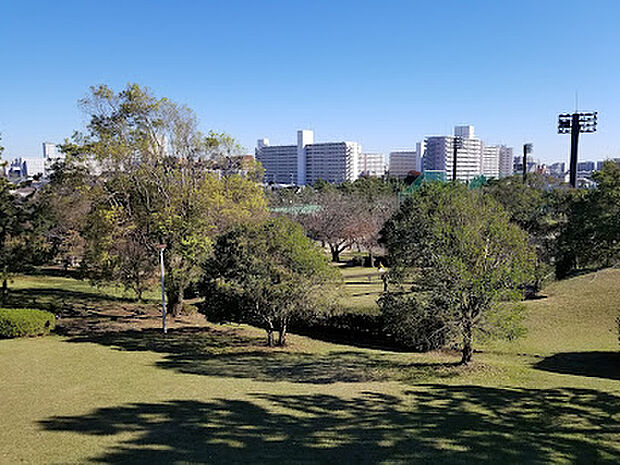 中央公園（約900m）
