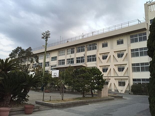 市川市高谷中学校(約1,000m)