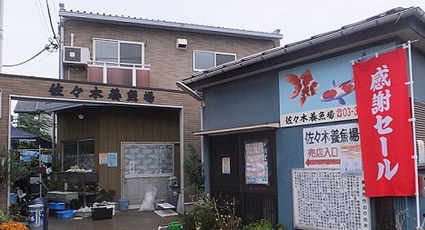 佐々木養魚場（約750m）