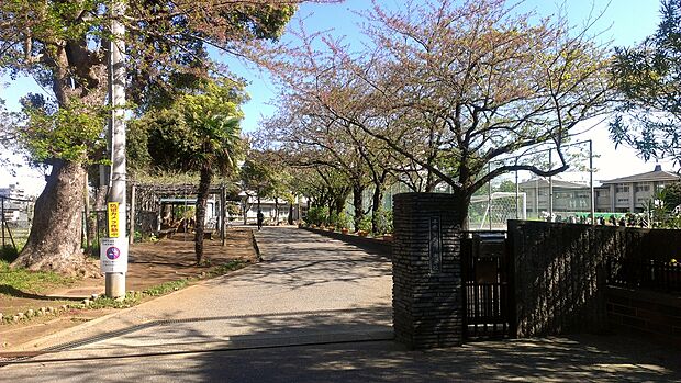 千葉市立葛城中学校(約1,000m)