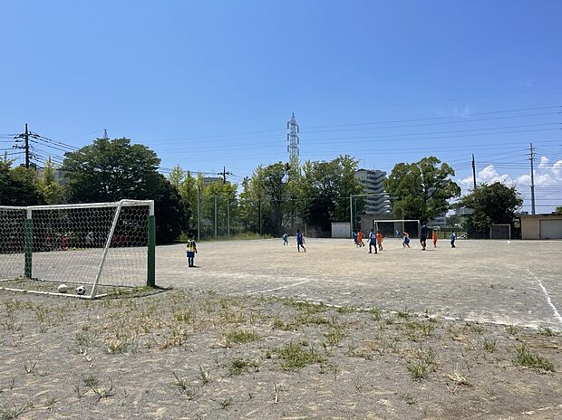 葛飾区総合教育センター(約650m)