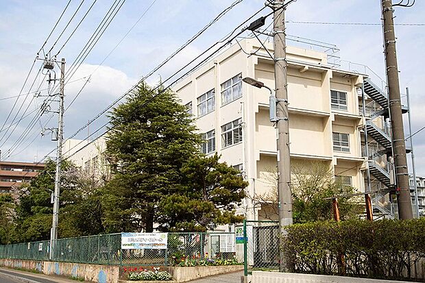 市川市立大洲小学校(約800m)