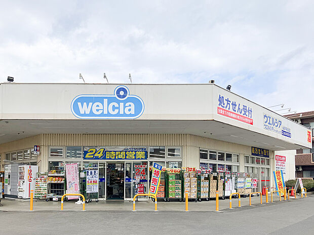 ウエルシア 水戸平須店