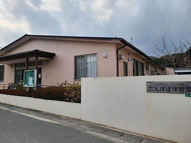 たんぽぽ保育園(約335m)