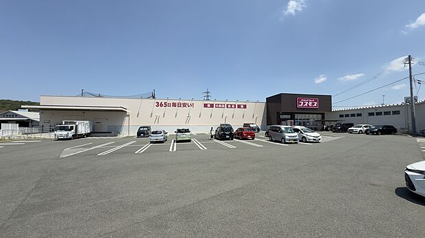 コスモス　飛田店