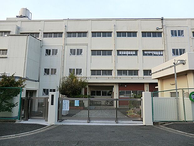 横浜市立新橋小学校（約800m）