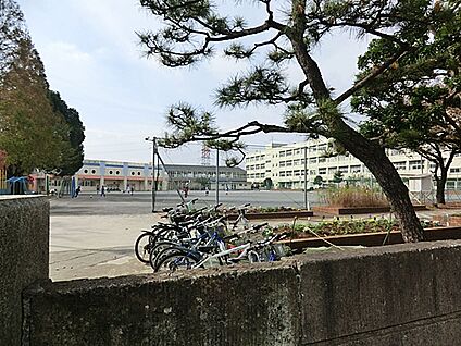 横浜市立東希望が丘小学校  360m(-)