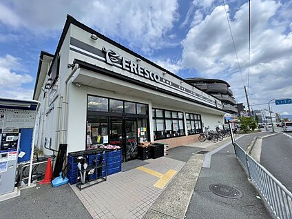 フレスコ上桂店 約600ｍ(徒歩6分)