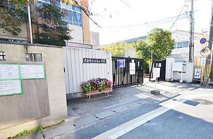 桂東小学校 500ｍ(徒歩7分)