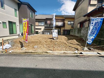 現地写真