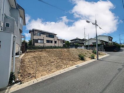 現地写真