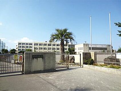 第5向陽小学校 約807ｍ(歩１１分)