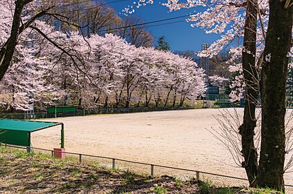 茅野市運動公園 約1,080～1,160m(徒歩14～15分)