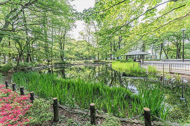 塚山公園（約720m）