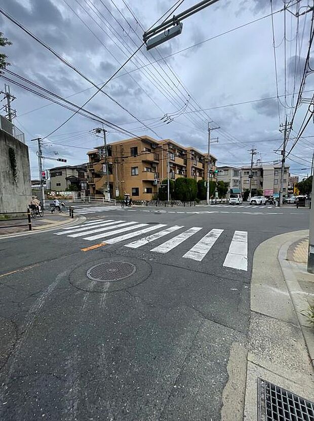 【前面道路含む現地写真】
北側公道の写真です。幅員約13.7mで見通しの良い道路に面しています。明るく開放的な立地が魅力です。