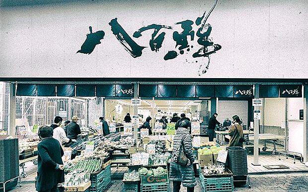 八百鮮春日出店