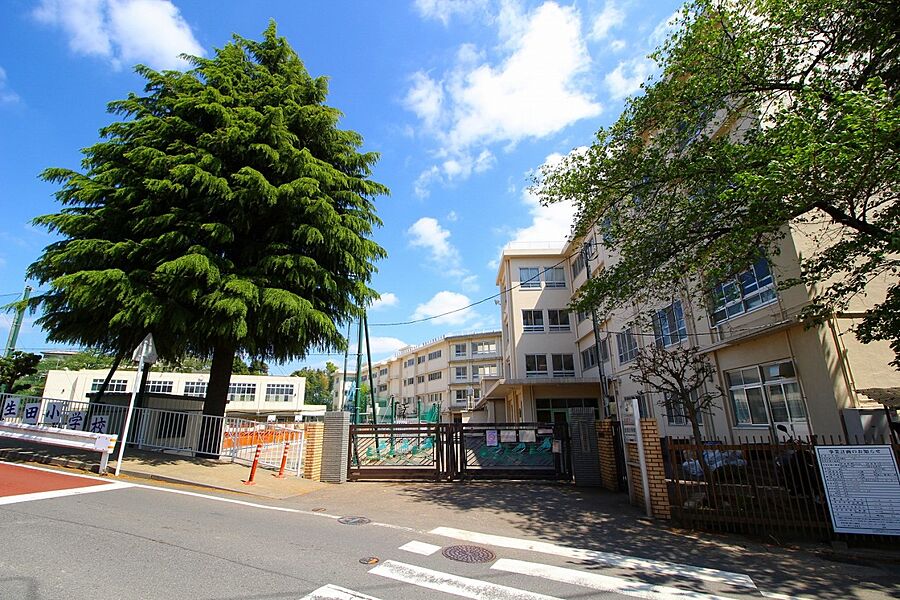 生田小学校(お子様が一日の中でも長い時間を過ごす小学校。のびのびと過ごし、広い校庭で元気に駆け回ったり、どんどん成長していくお子様の姿が目に浮かびます。)