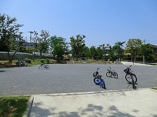 白山西台公園(約650m)