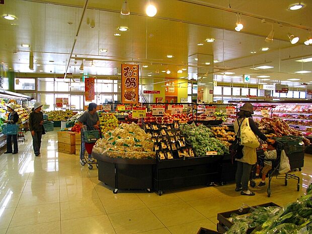 ヨークマート妙蓮寺店(約800m・徒歩10分)