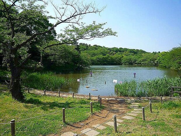 三ツ池公園(約400m・徒歩5分)