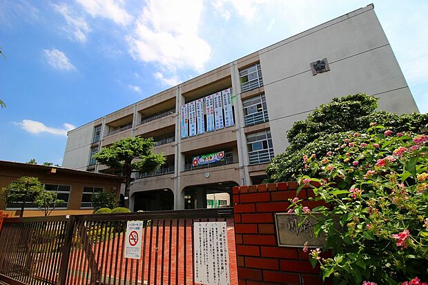 野川中学校(約550m)