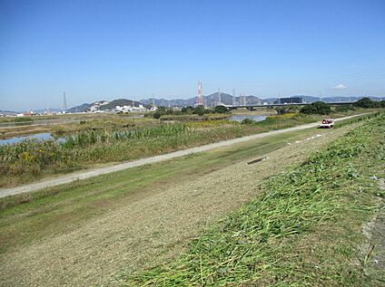 加古川河川敷 約550ｍ