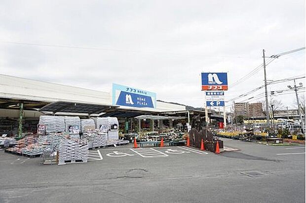 ホームプラザナフコ南那珂川店(約1,162m)
