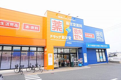 ドラッグ新生堂中尾店 1213ｍ(徒歩16分)