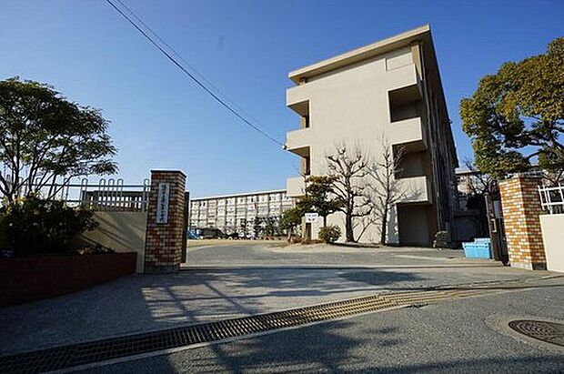 福岡市立舞松原小学校(約650m)