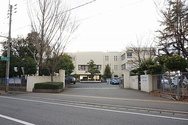 古賀市立千鳥小学校(約564m)
