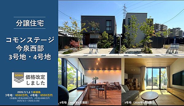 撮影：2026年6月