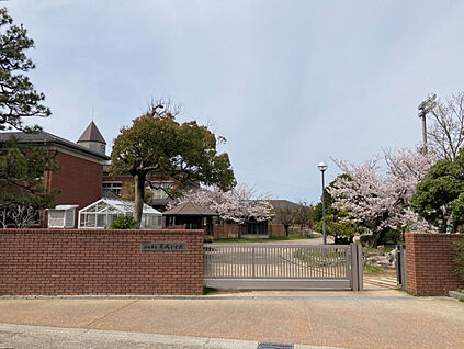 白山市立蕪城小学校 現地から1100m～1150m。(徒歩14分～15分。)