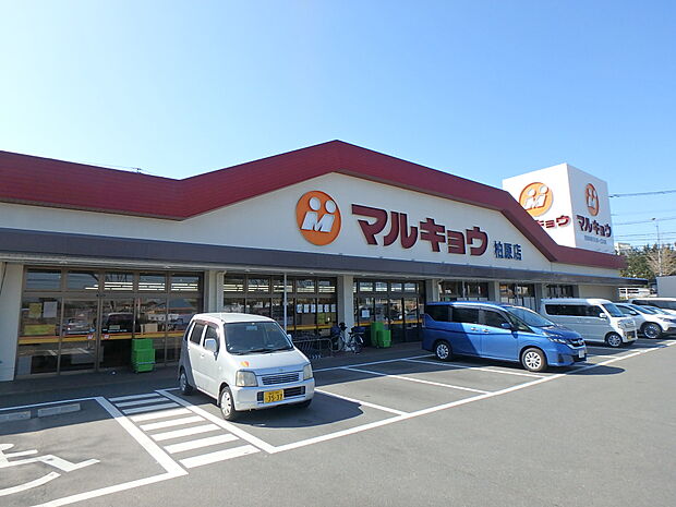 マルキョウ柏原店（約600m・徒歩8分）