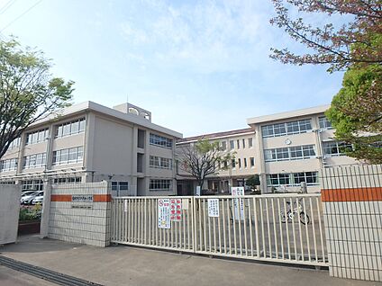 福岡市立千早西小学校 300m(4分)