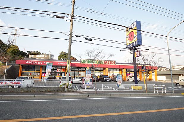 ドラッグストアモリ月隈店（約1,700m・徒歩22分）