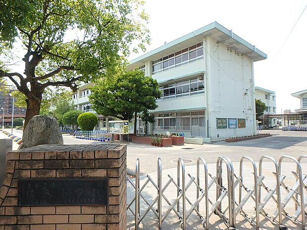 春日市立須玖小学校(約450m・徒歩6分)