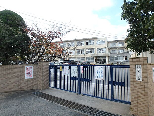 福岡市立和白小学校（約900m・徒歩12分）
