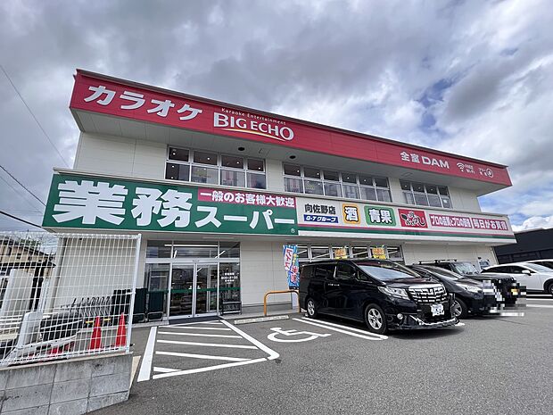 業務スーパー 向佐野店(約600m・徒歩8分)