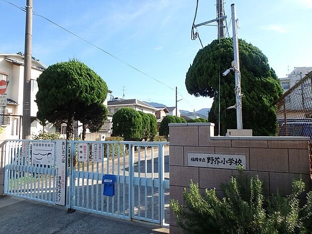 福岡市立野芥小学校（約1,200m・徒歩15分）