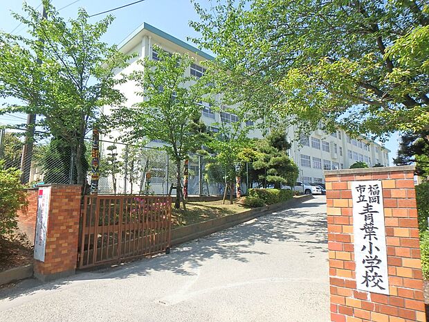 福岡市立青葉小学校（約1,000m・徒歩13分）