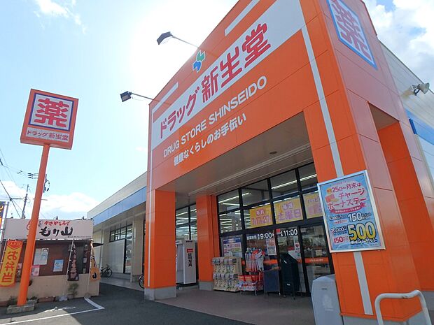 ドラッグ新生堂　昇町店（約700m・徒歩9分）