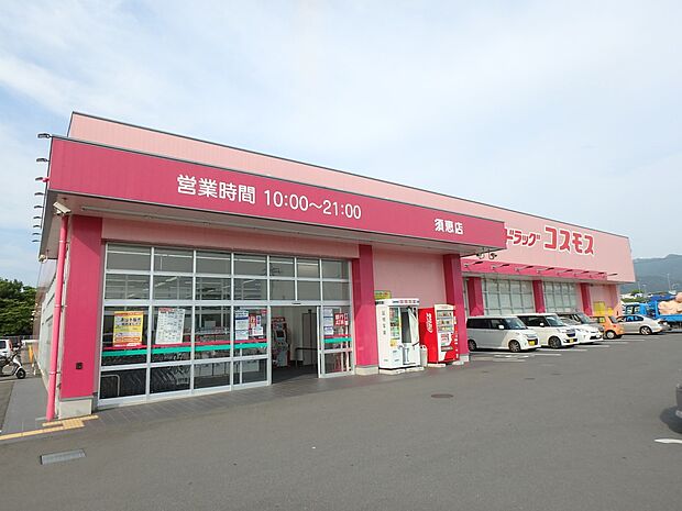 ドラッグストアコスモス 須恵店(約1,031m・徒歩13分)