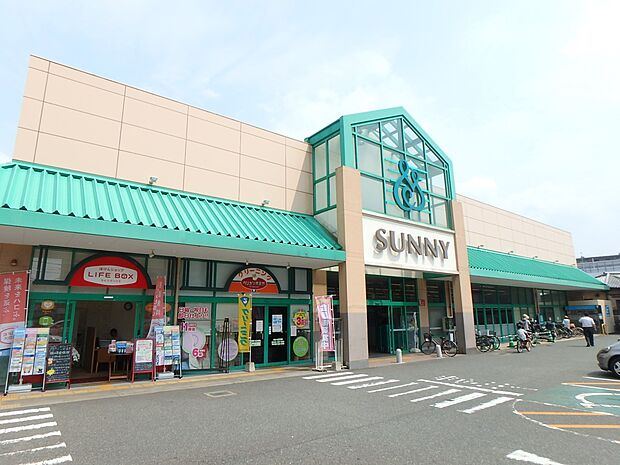 サニー向新町店(約240m・徒歩3分)