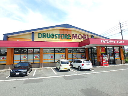 ドラッグストアモリ美しが丘店 1100m(14分)