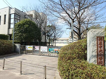 粕屋町立粕屋中央小学校 850m(11分)