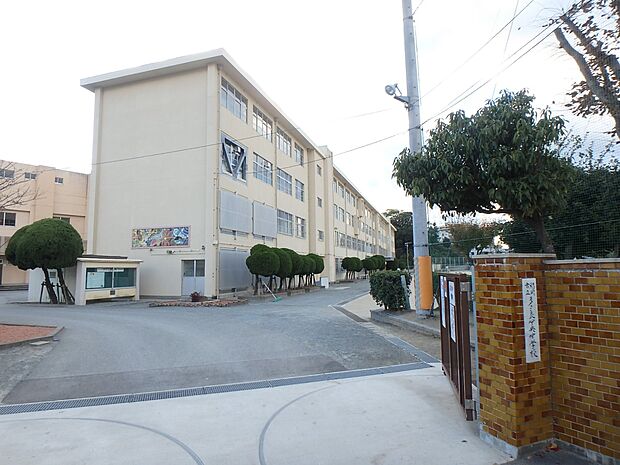 福岡市立多々良中央中学校（約1,200m・徒歩15分）